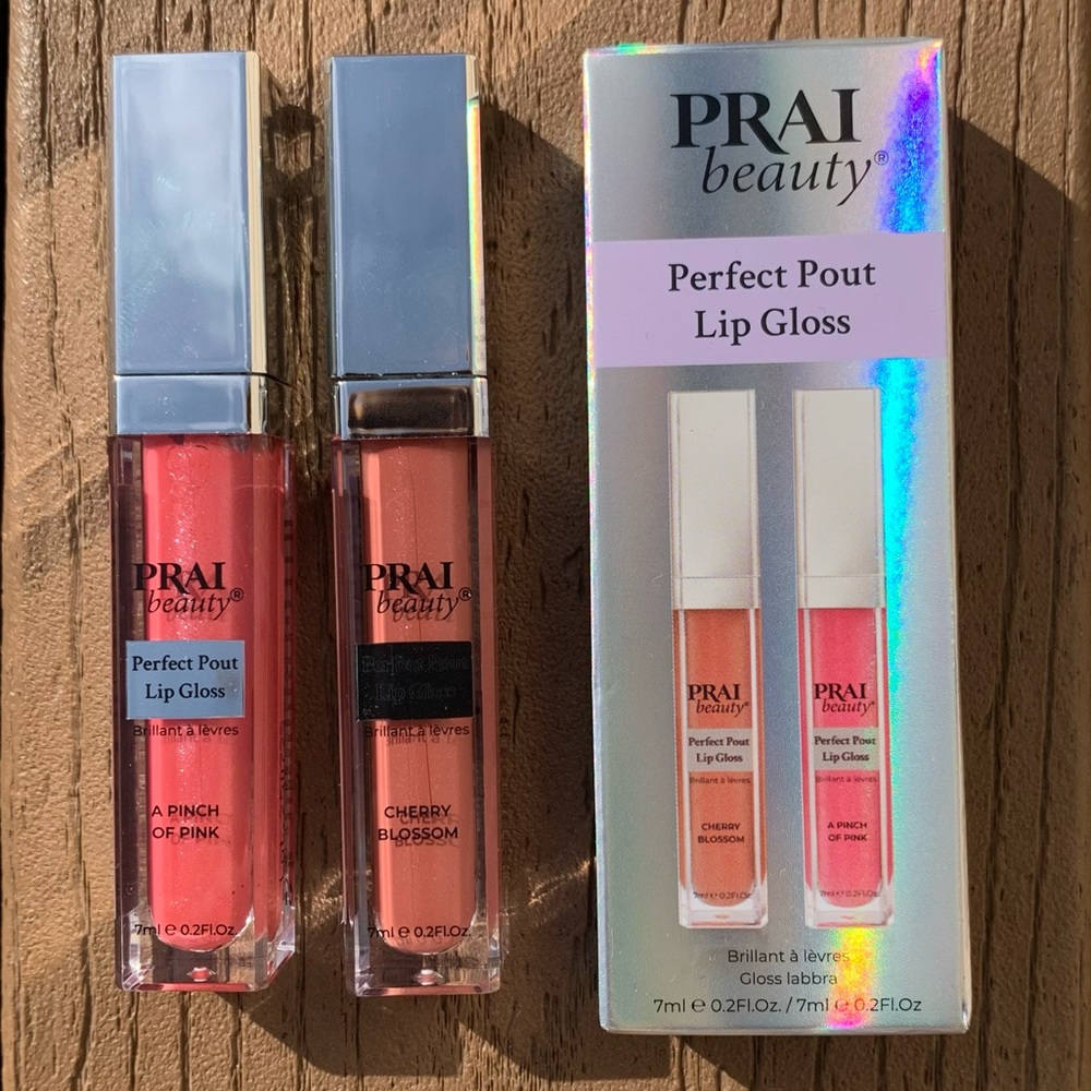 🆕PRAI BEAUTY PERFECT POUT LIP GLOSS 2 PIECE SET NEW IN BOX!